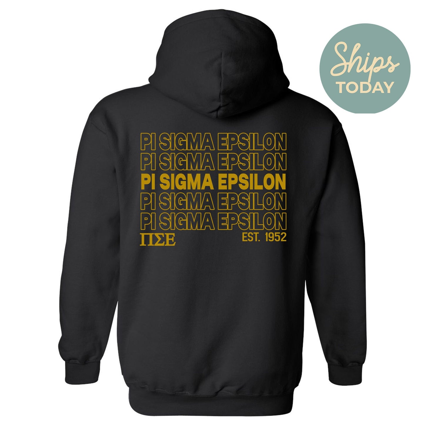 Pi Sigma Epsilon Repeating Letters COED Hoodie _ 35596g