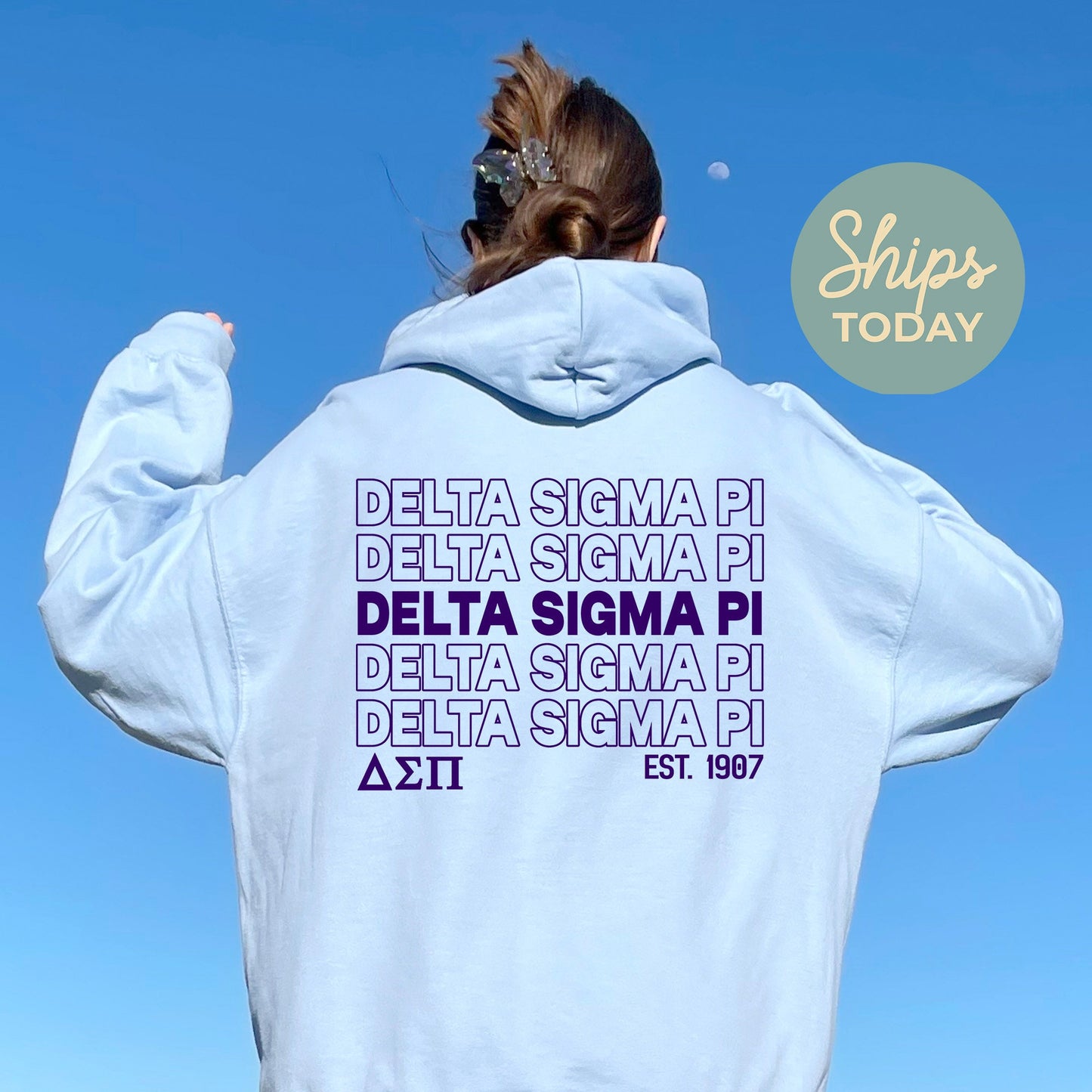 Delta Sigma Pi Repeating Letters COED Hoodie _ 35588g