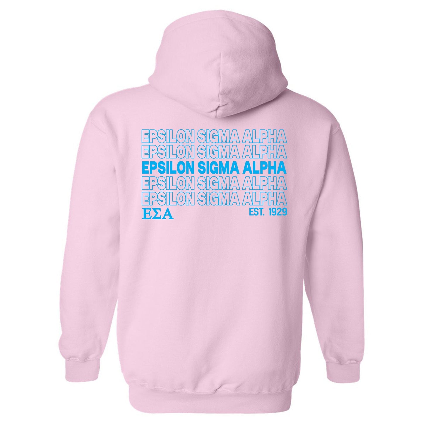Epsilon Sigma Alpha Repeating Letters COED Hoodie _ 35589g
