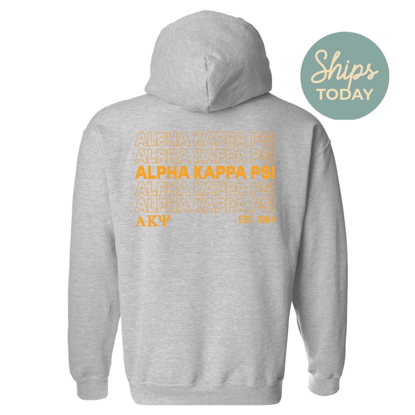 Alpha Kappa Psi Repeating Letters COED Hoodie _ 35584g