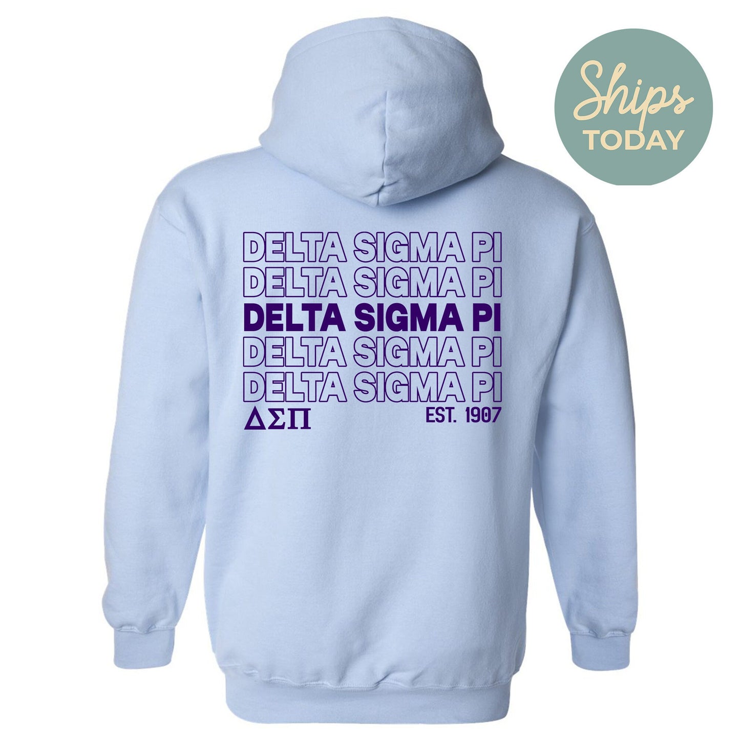 Delta Sigma Pi Repeating Letters COED Hoodie _ 35588g