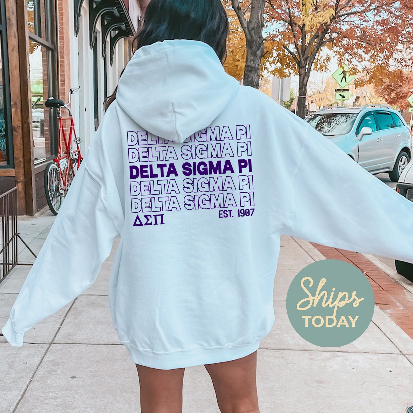 Delta Sigma Pi Repeating Letters COED Hoodie _ 35588g