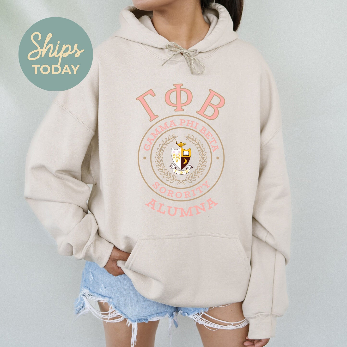 Gamma Phi Beta Alumna Vintage Sorority Hoodie _ 31023g