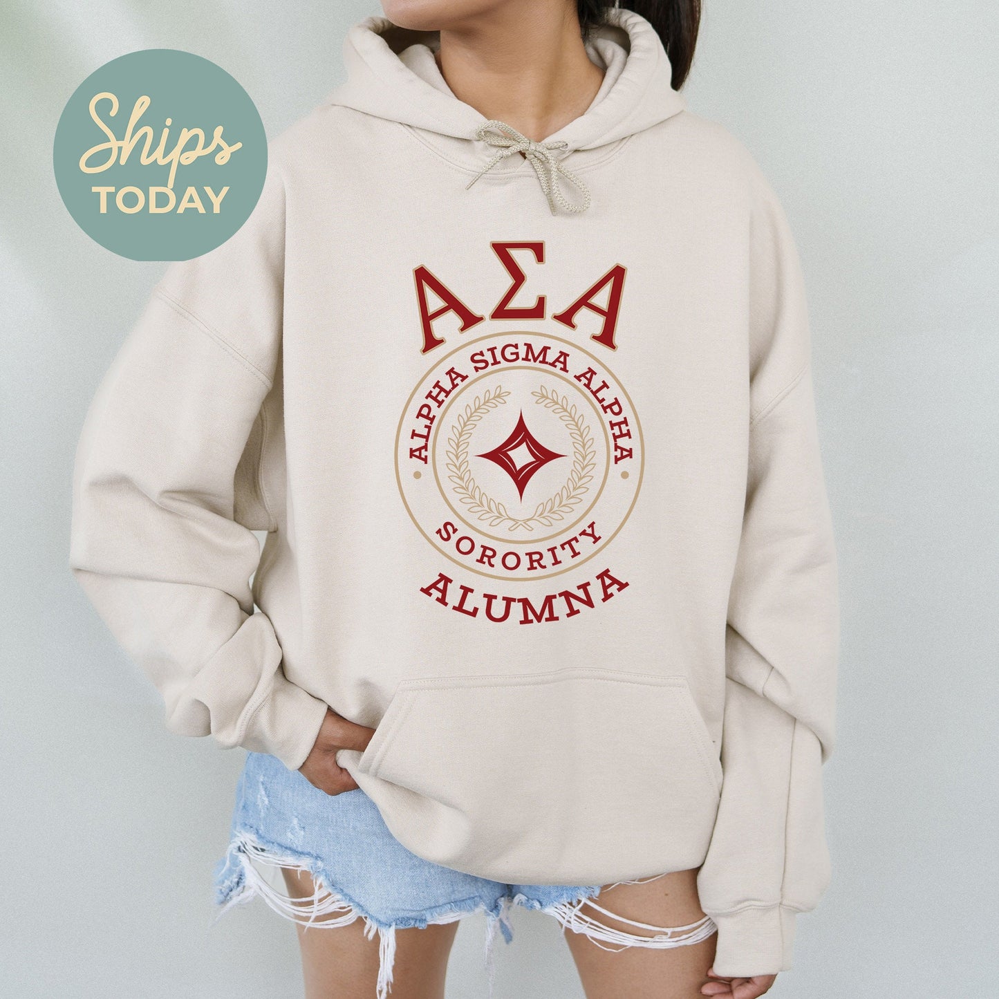 Alpha Sigma Alpha Alumna Vintage Sorority Hoodie _ 31015g