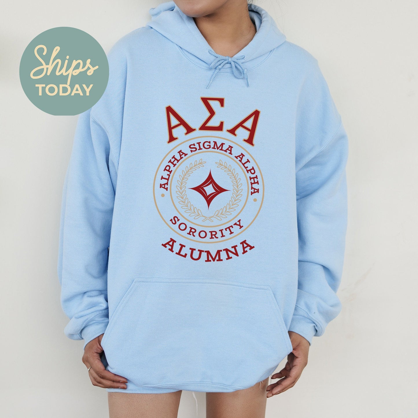Alpha Sigma Alpha Alumna Vintage Sorority Hoodie _ 31015g