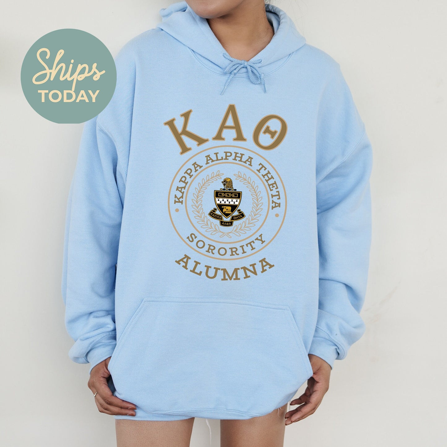 Kappa Alpha Theta Alumna Vintage Sorority Hoodie _ 31024g