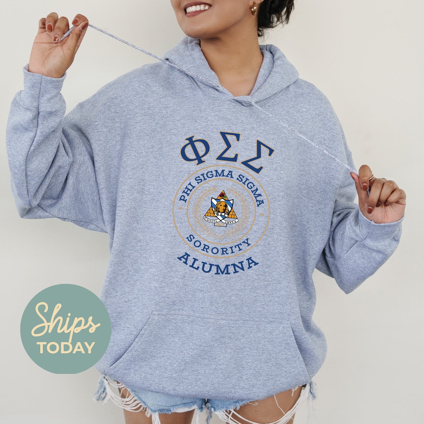 Phi Sigma Sigma Alumna Vintage Sorority Hoodie _ 31028g