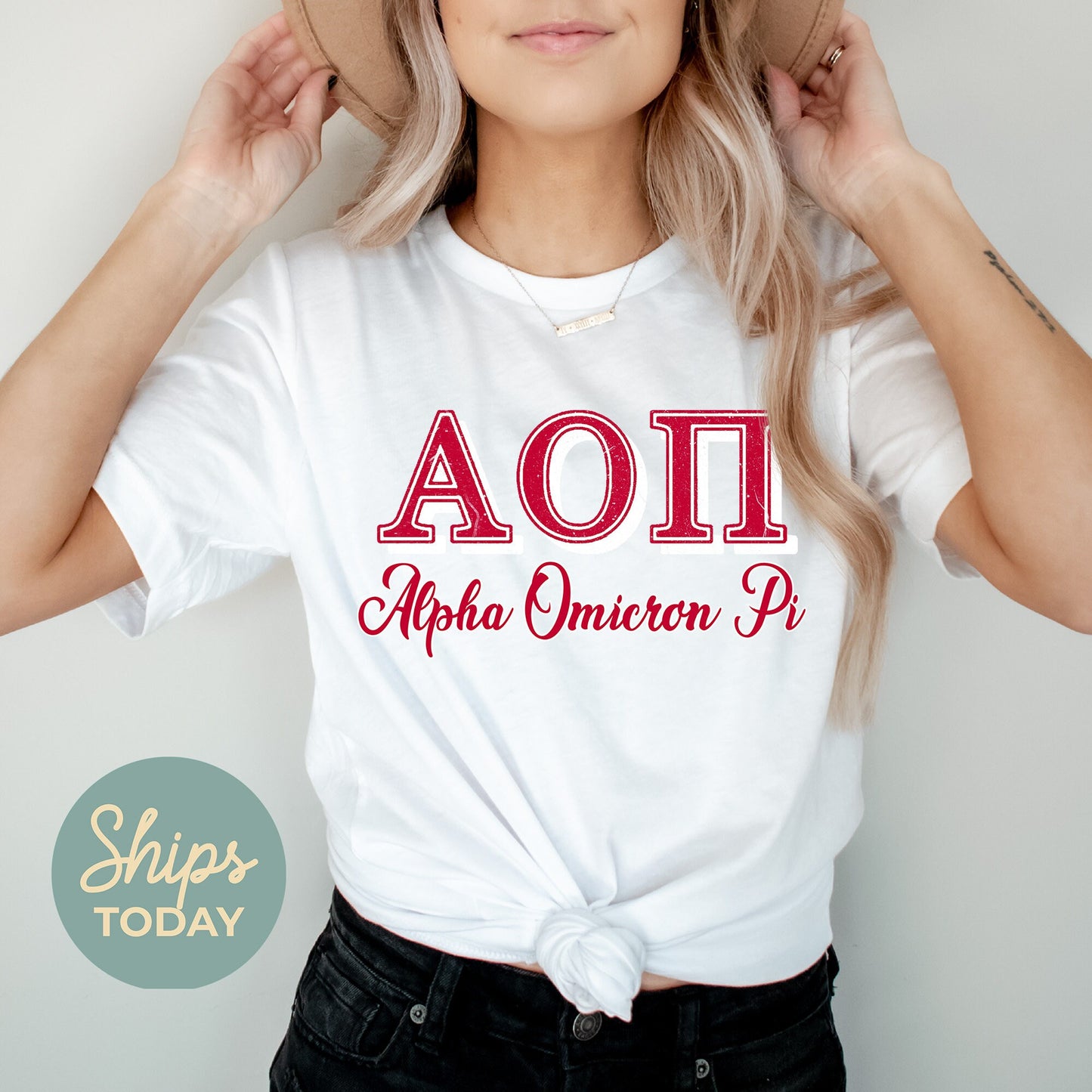 Alpha Omicron Pi Greek Colors Sorority T-shirt _ 36073g