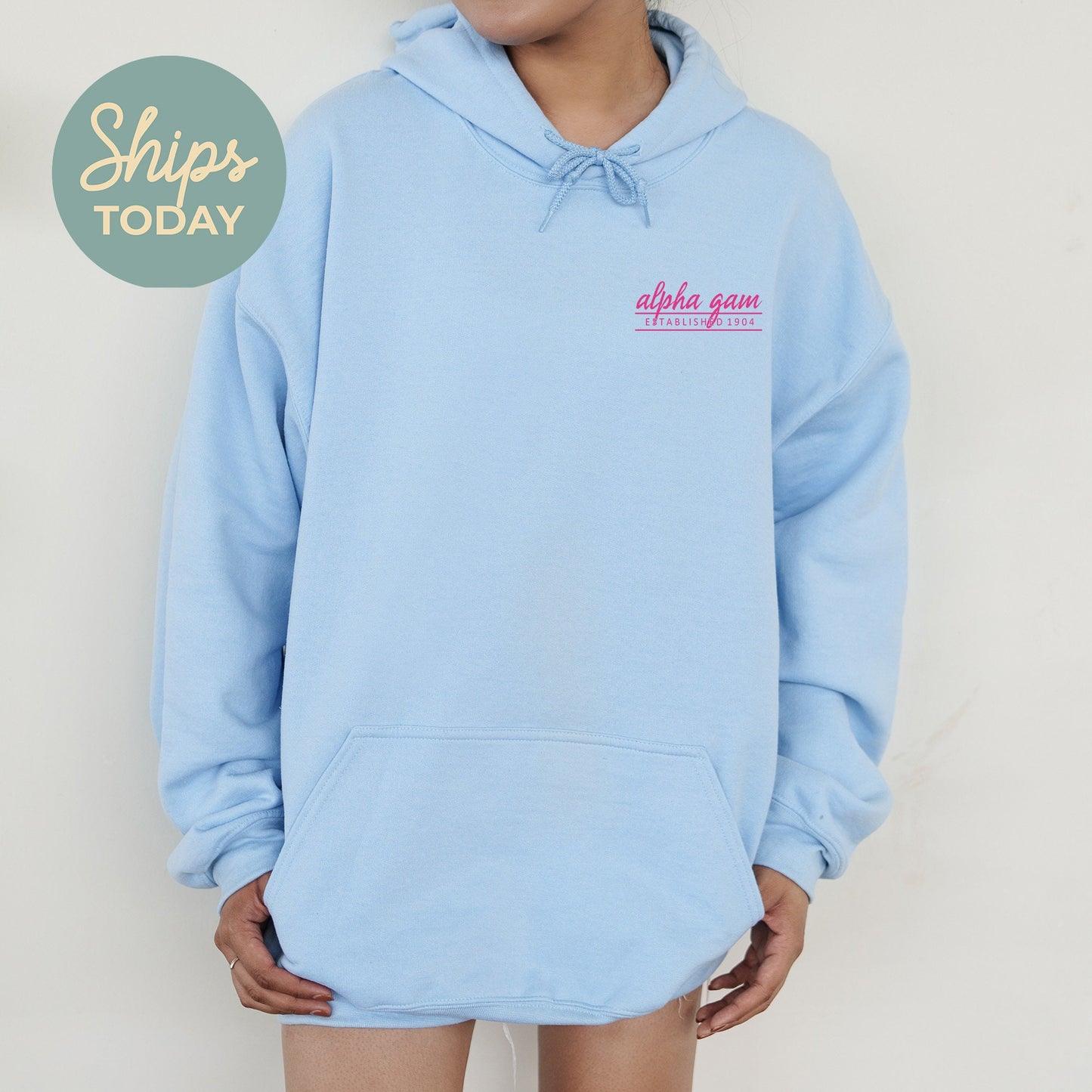 Alpha Gamma Delta Classic Pink Sorority Hoodie _ 39089g
