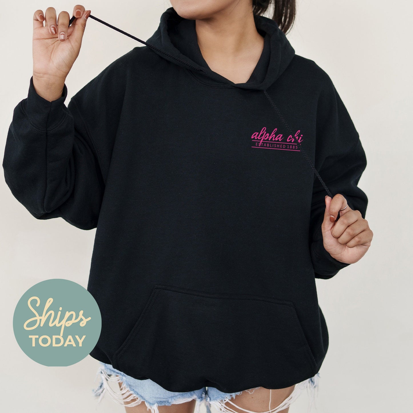 Alpha Chi Omega Classic Pink Sorority Hoodie _ 39086g