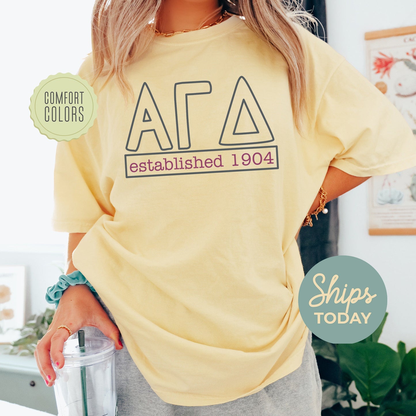 Alpha Gamma Delta Simply Greek Comfort Colors Sorority T-shirt _ 39339g