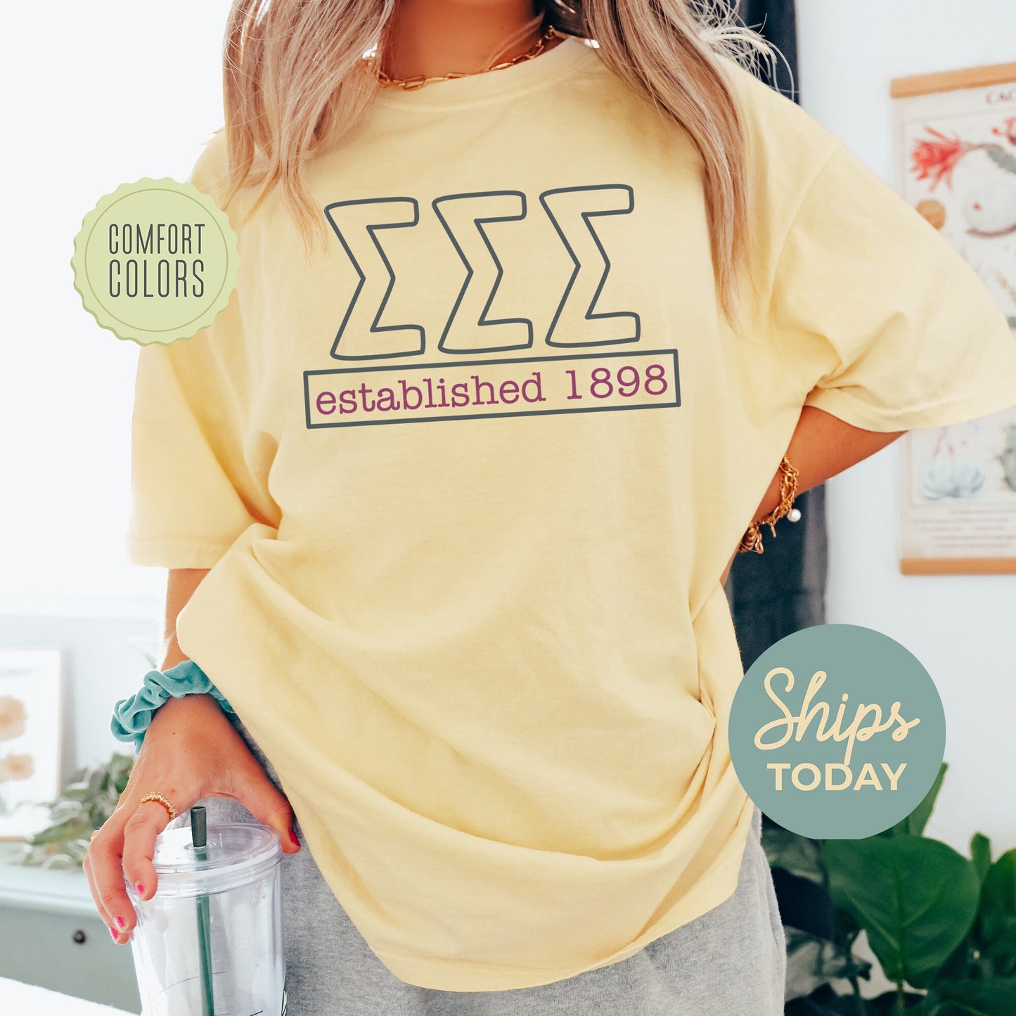 Sigma Sigma Sigma Simply Greek Comfort Colors Sorority T-shirt _ 39359g