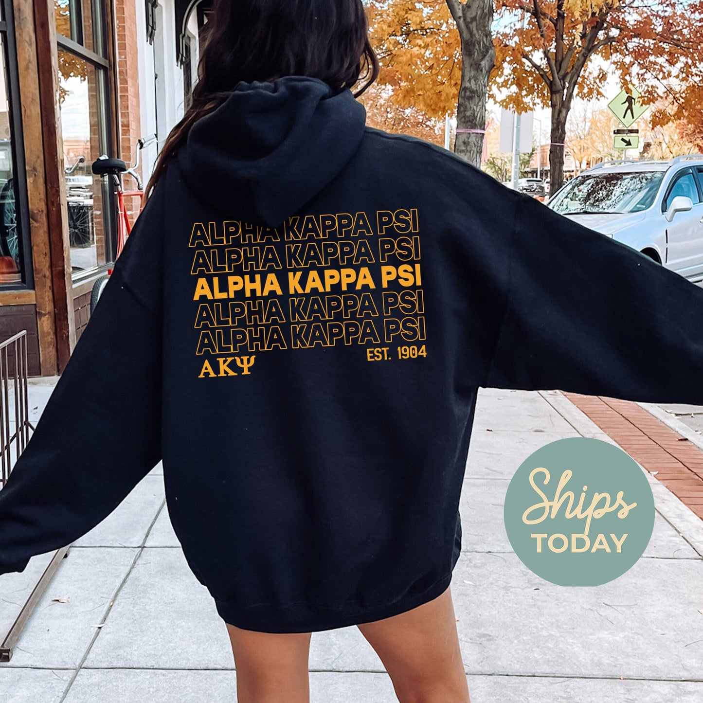 Alpha Kappa Psi Repeating Letters COED Hoodie _ 35584g