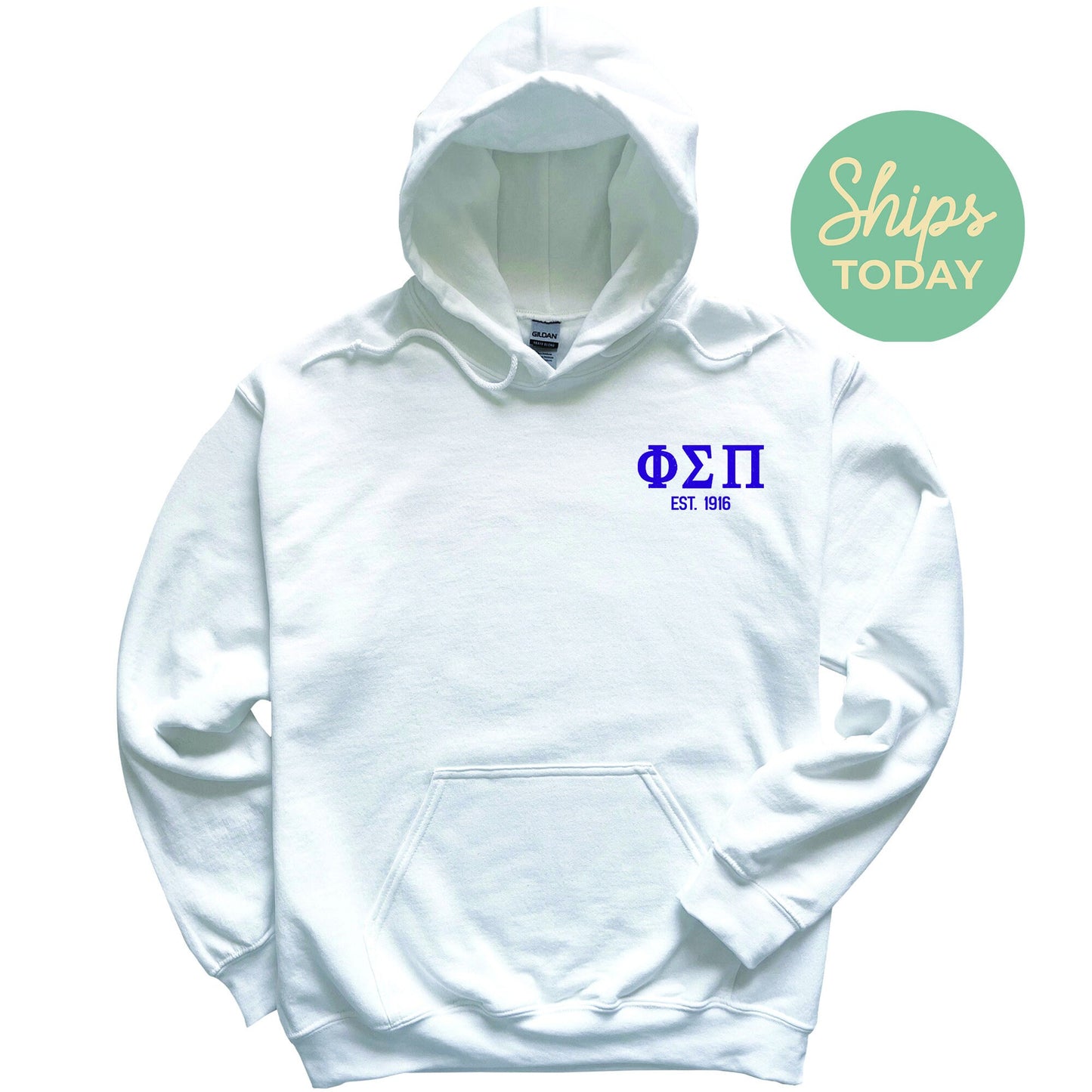 Phi Sigma Pi Repeating Letters COED Hoodie _ 35595g