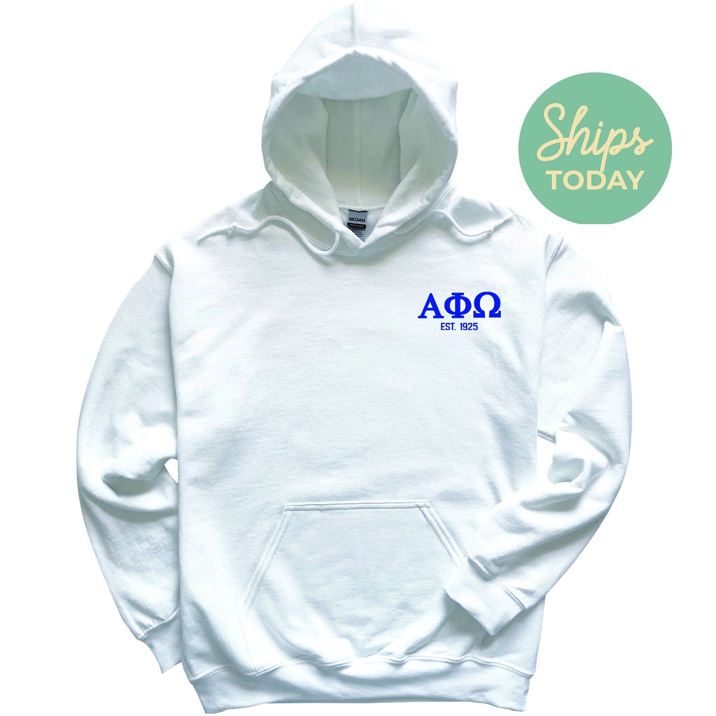 Alpha Phi Omega Repeating Letters COED Hoodie _ 35585g