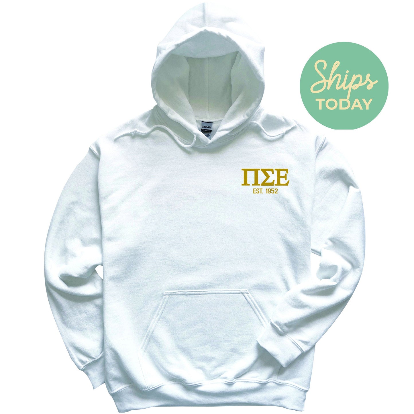 Pi Sigma Epsilon Repeating Letters COED Hoodie _ 35596g