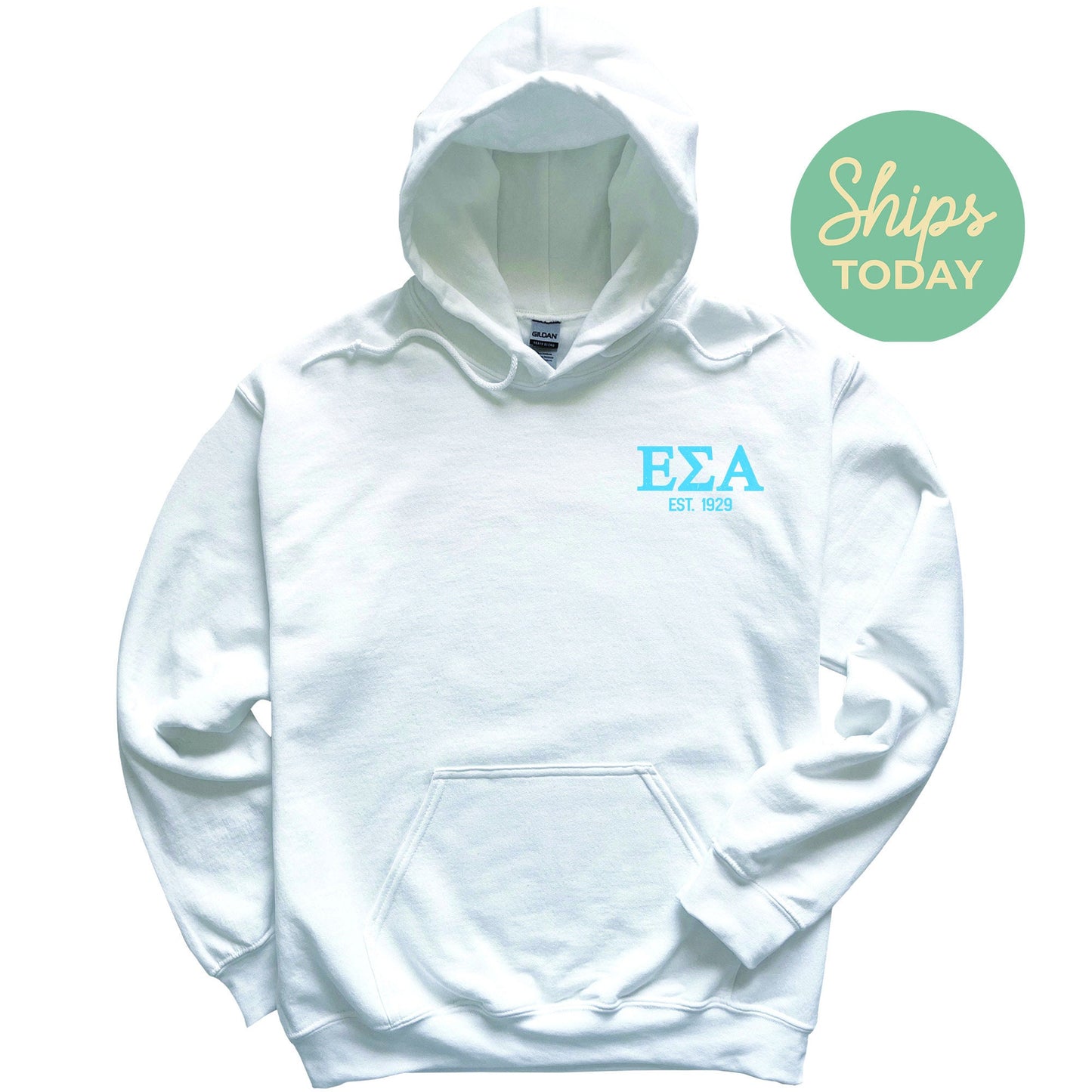 Epsilon Sigma Alpha Repeating Letters COED Hoodie _ 35589g