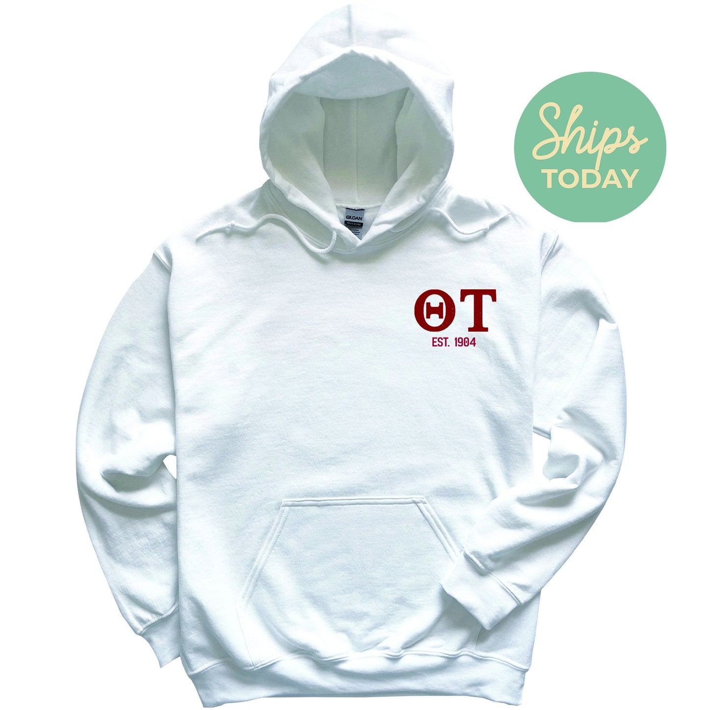 Theta Tau Repeating Letters COED Hoodie _ 35598g