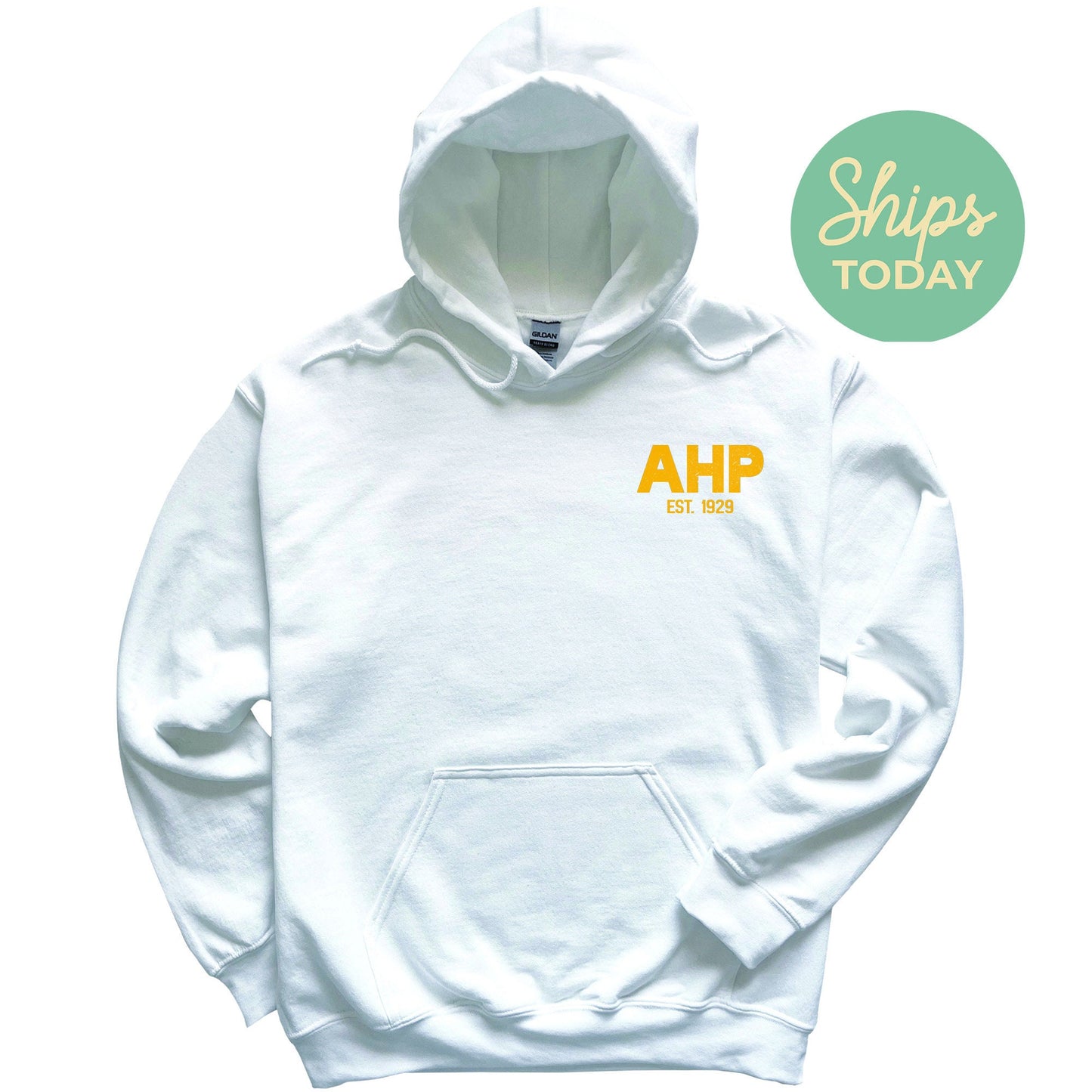 Alpha Eta Rho Repeating Letters COED Hoodie _ 35583g
