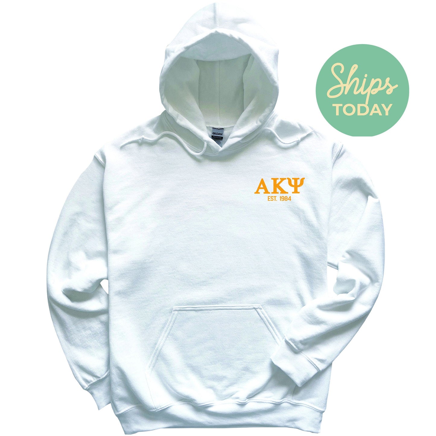 Alpha Kappa Psi Repeating Letters COED Hoodie _ 35584g