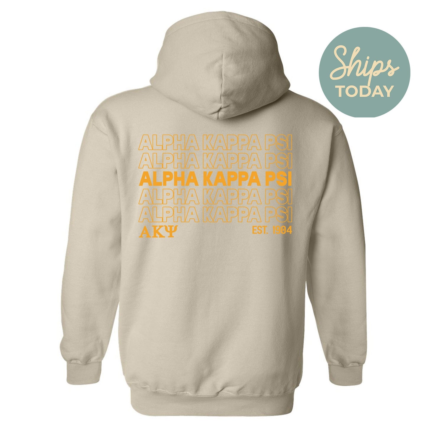 Alpha Kappa Psi Repeating Letters COED Hoodie _ 35584g
