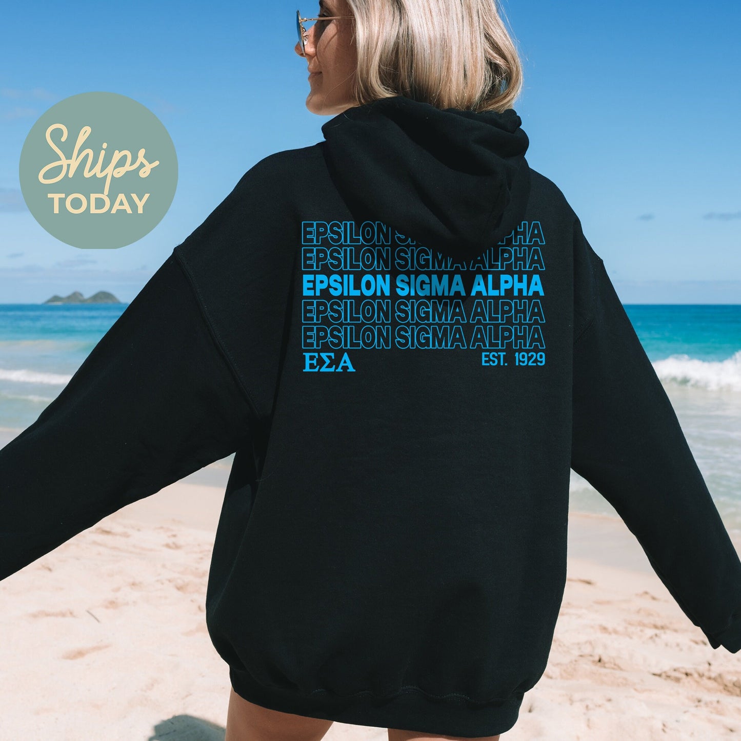 Epsilon Sigma Alpha Repeating Letters COED Hoodie _ 35589g