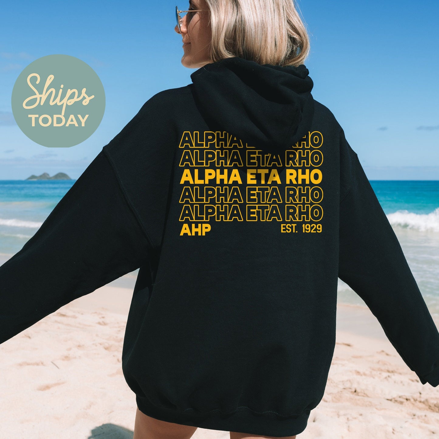 Alpha Eta Rho Repeating Letters COED Hoodie _ 35583g