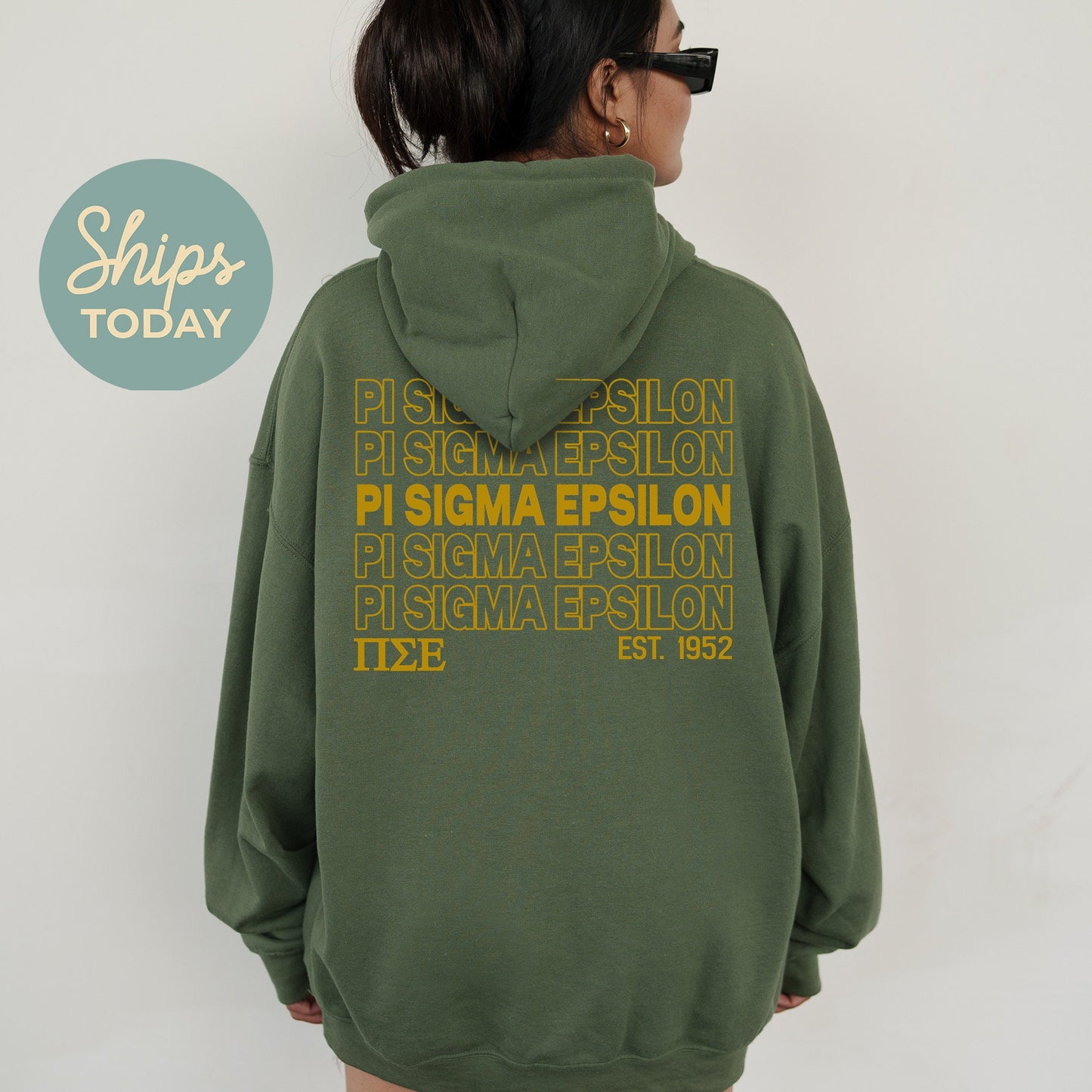 Pi Sigma Epsilon Repeating Letters COED Hoodie _ 35596g
