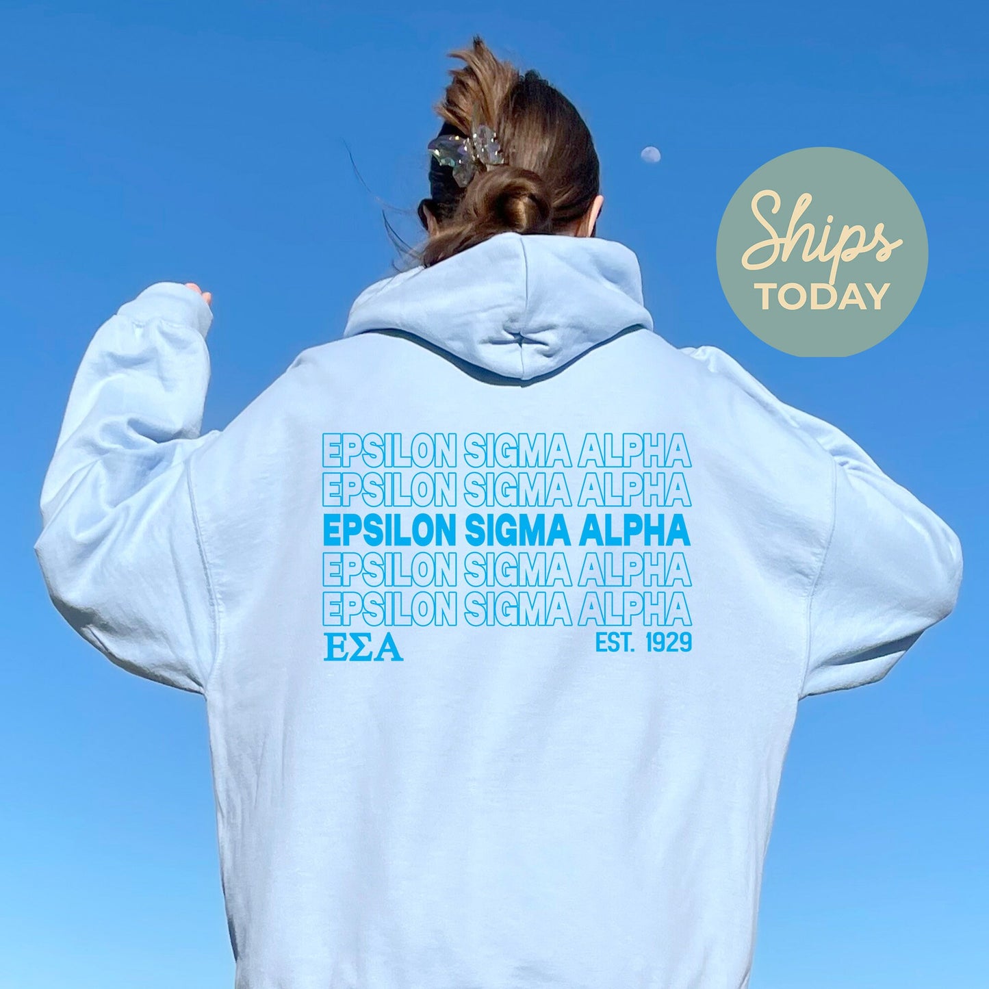 Epsilon Sigma Alpha Repeating Letters COED Hoodie _ 35589g