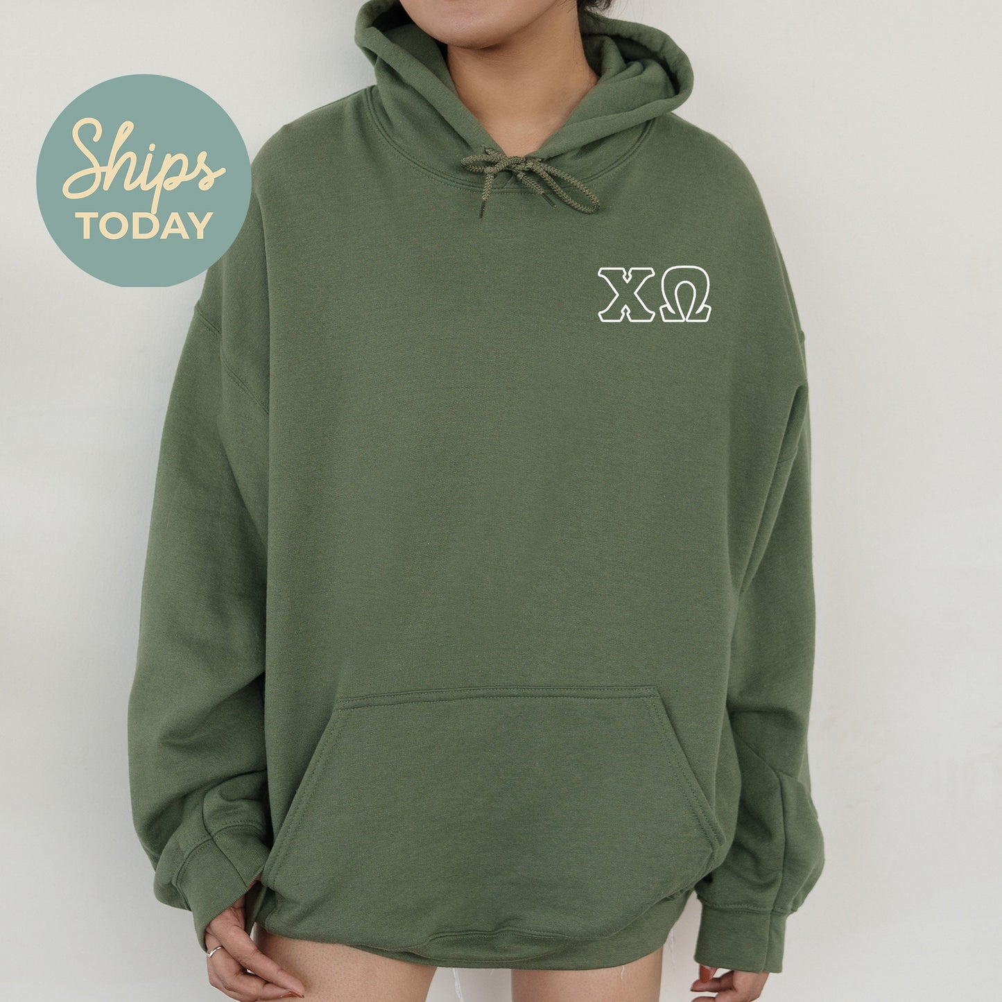 Chi Omega Outlined Letters Sorority Hoodie _ 39043g