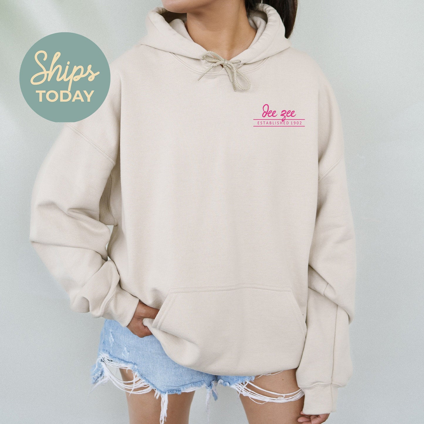 Delta Zeta Classic Pink Sorority Hoodie _ 39099g