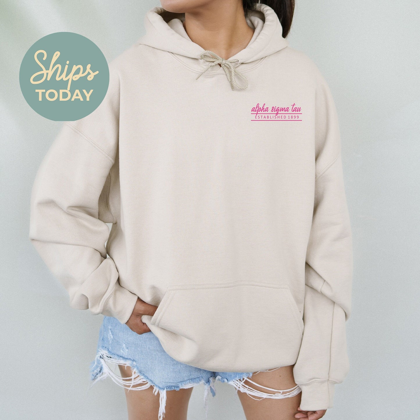 Alpha Sigma Tau Classic Pink Sorority Hoodie _ 39093g