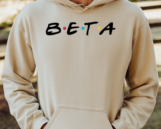 Beta Theta Pi Greek Friends Fraternity Hoodie _ 30676g