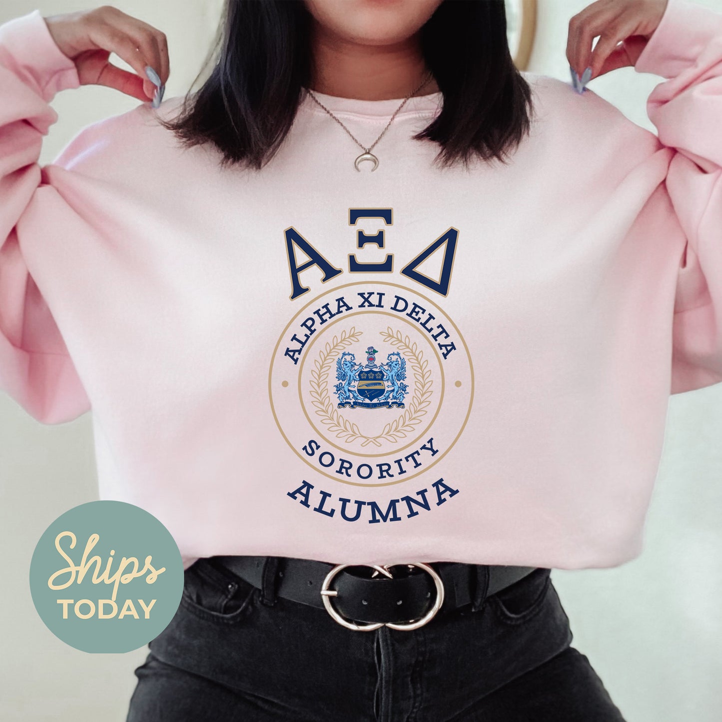 Alpha Xi Delta Alumna Vintage Sorority Sweatshirt _ 31017g