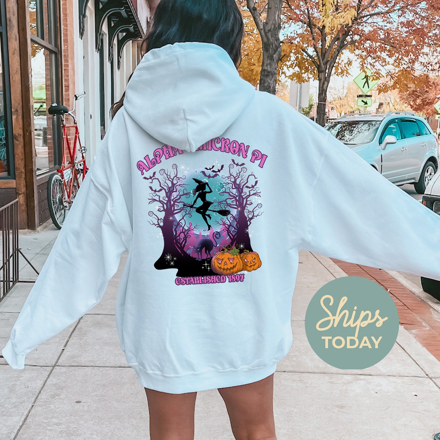Alpha Omicron Pi Halloween Witch Sorority Hoodie _ 36230g
