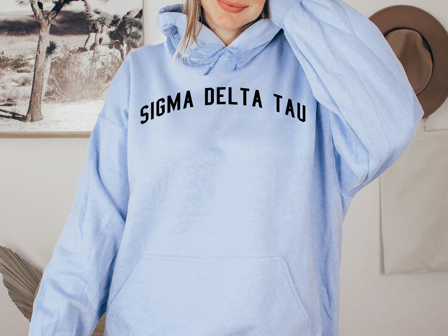 Sigma Delta Tau Just Bold Sorority Hoodie _ 2390g