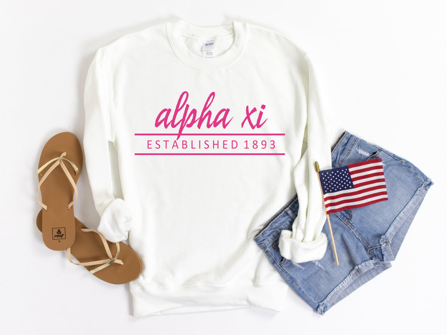 Alpha Xi Delta All Pink Sorority Sweatshirt _ 760g