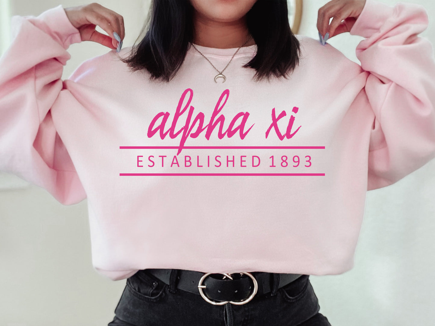 Alpha Xi Delta All Pink Sorority Sweatshirt _ 760g