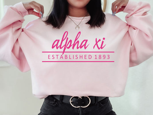 Alpha Xi Delta All Pink Sorority Sweatshirt _ 760g
