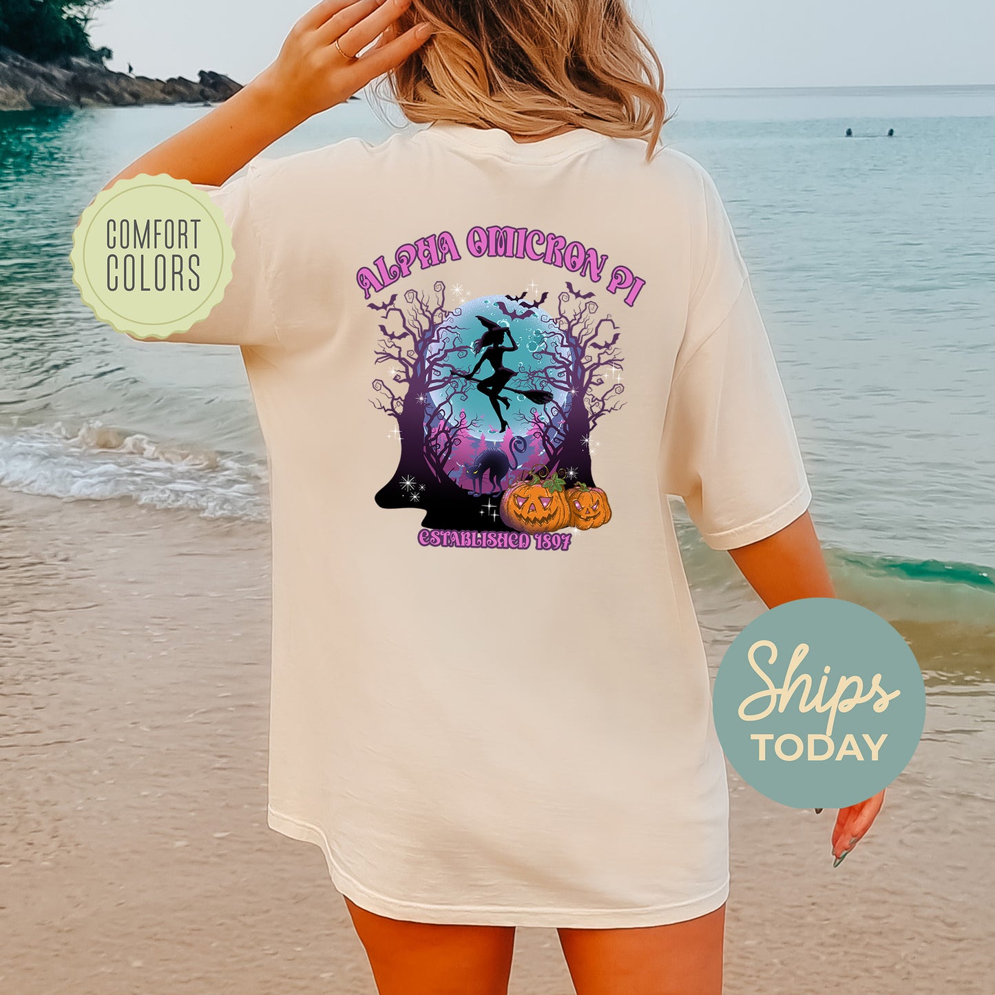 Alpha Omicron Pi Halloween Witch Comfort Colors Sorority T-shirt _ 36230g