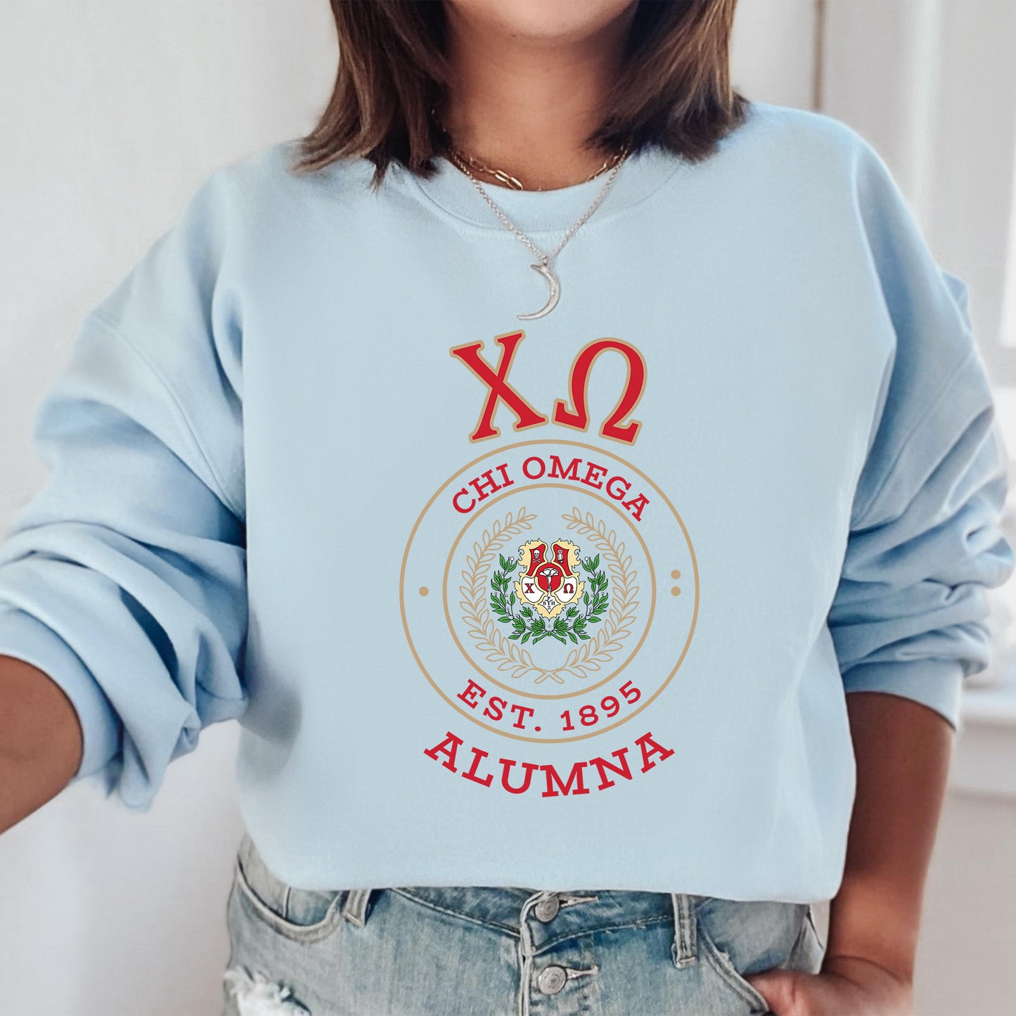 Chi Omega Alumna Vintage Sorority Sweatshirt _ 31018g