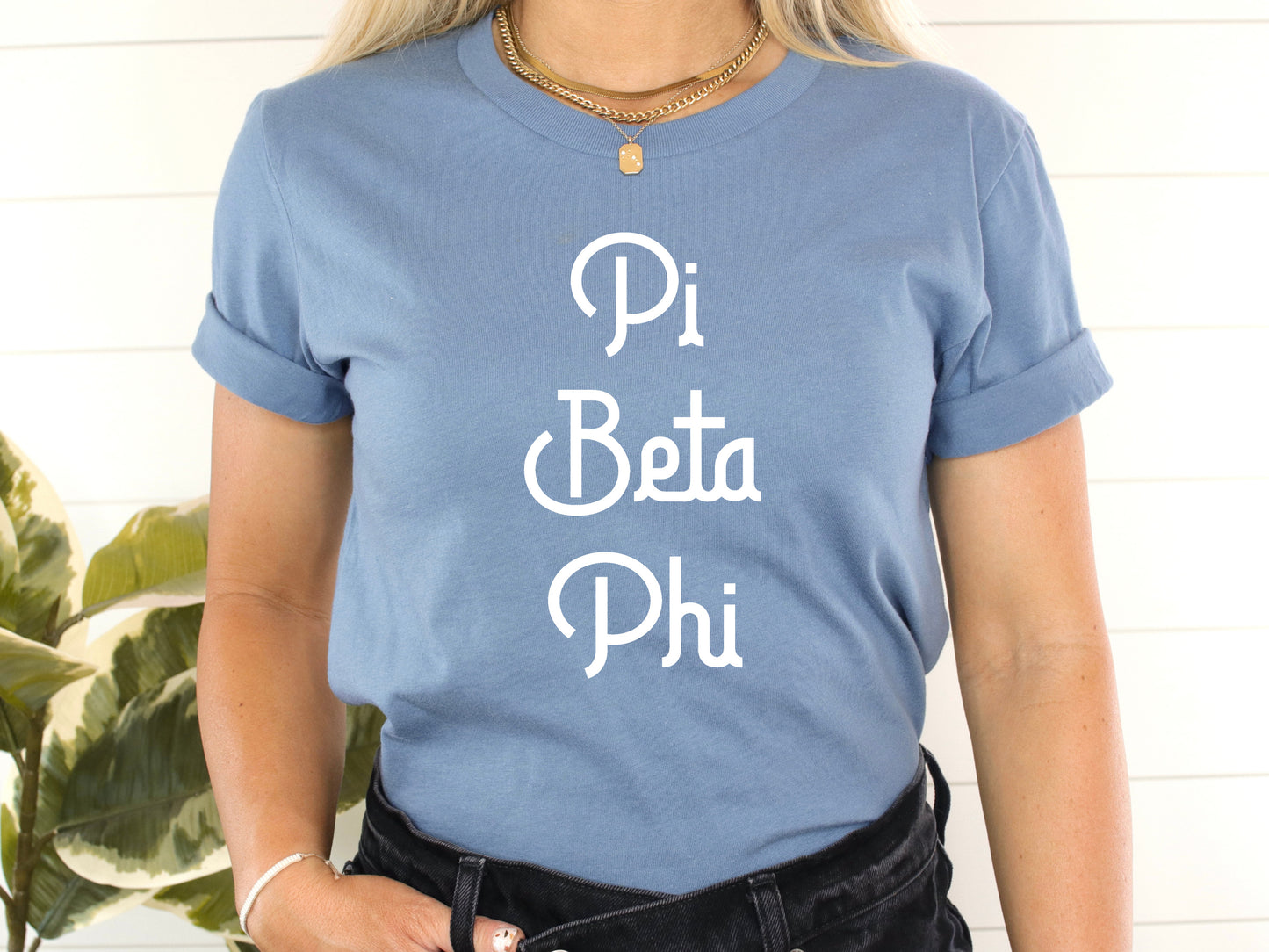 Pi Beta Phi All About That Pop Sorority T-shirt _ 2701g