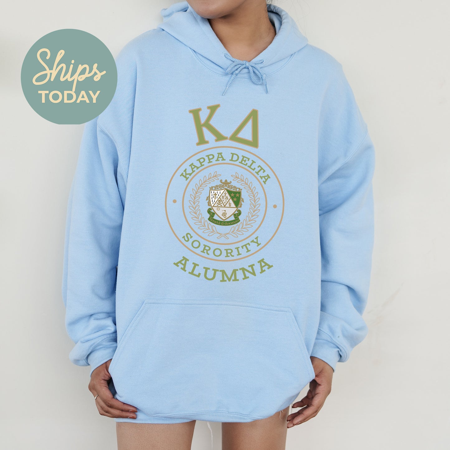 Kappa Delta Alumna Vintage Sorority Hoodie _ 31025g