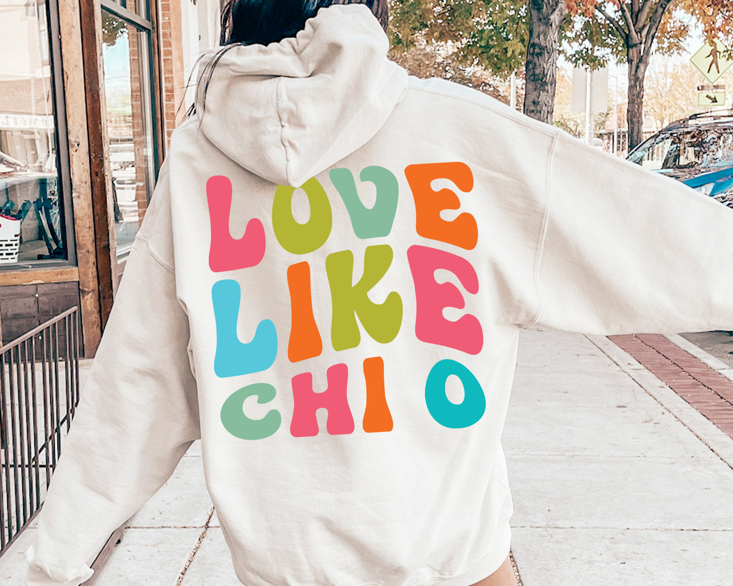 Chi Omega Blissful and Vibrant Sorority Hoodie _ 33163g