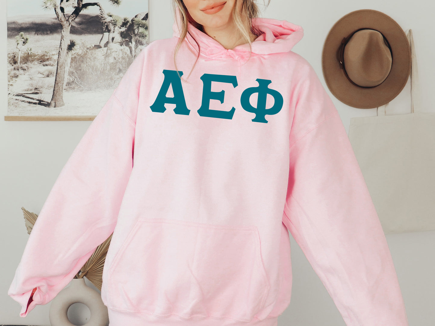 Alpha Epsilon Phi Back to the Basics Sorority Hoodie _ 624g