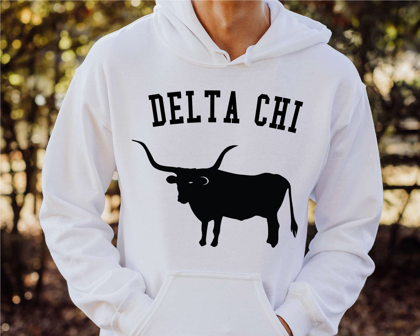 Delta Chi Long Horn Fraternity Hoodie _ 1530g