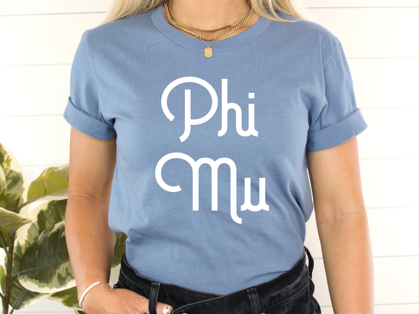 Phi Mu All About That Pop Sorority T-shirt _ 2699g