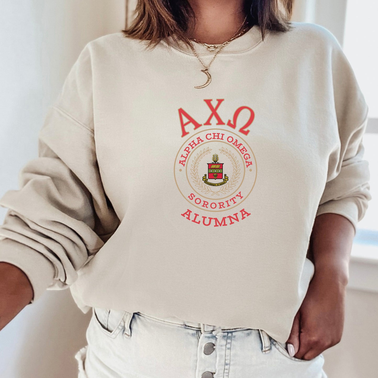 Alpha Chi Omega Alumna Vintage Sorority Sweatshirt _ 31009g