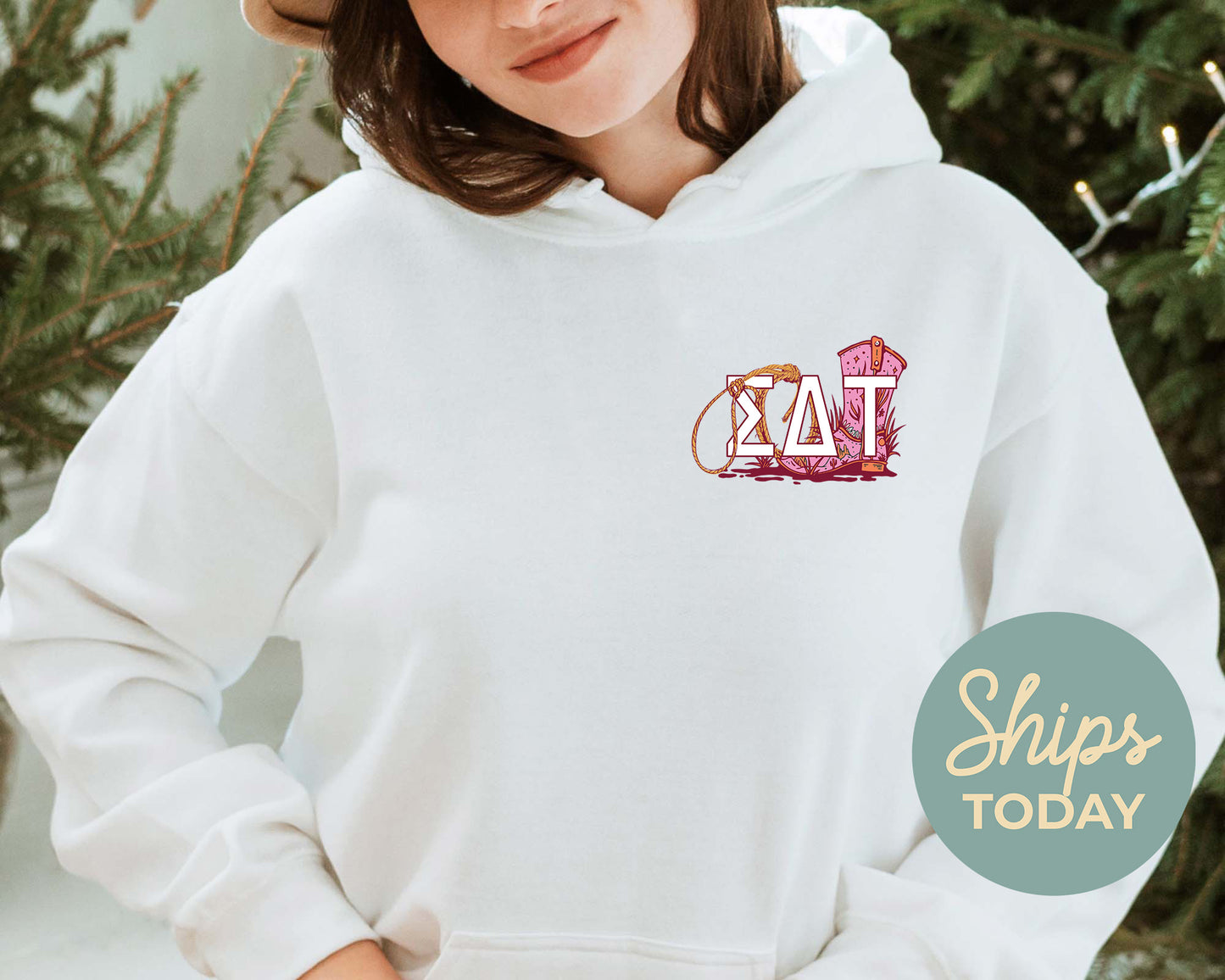 Sigma Delta Tau Roundin' up the Best Sorority Hoodie _ 32915g