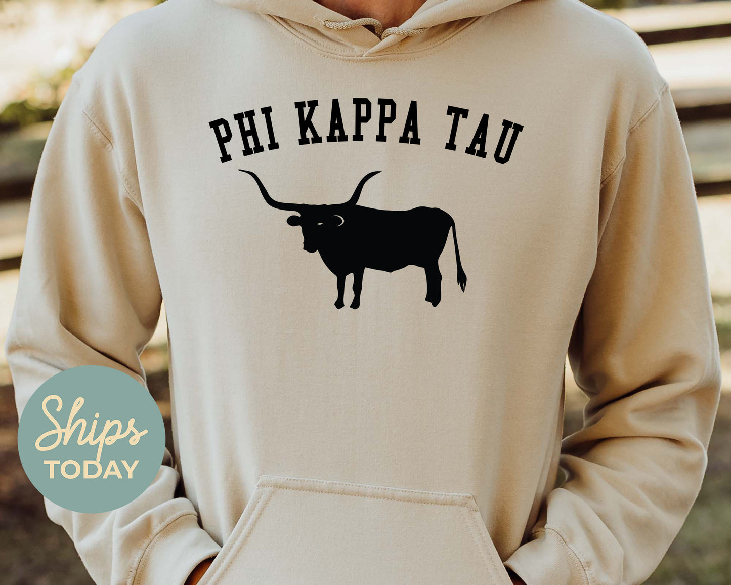 Phi Kappa Tau Long Horn Fraternity Hoodie _ 1540g